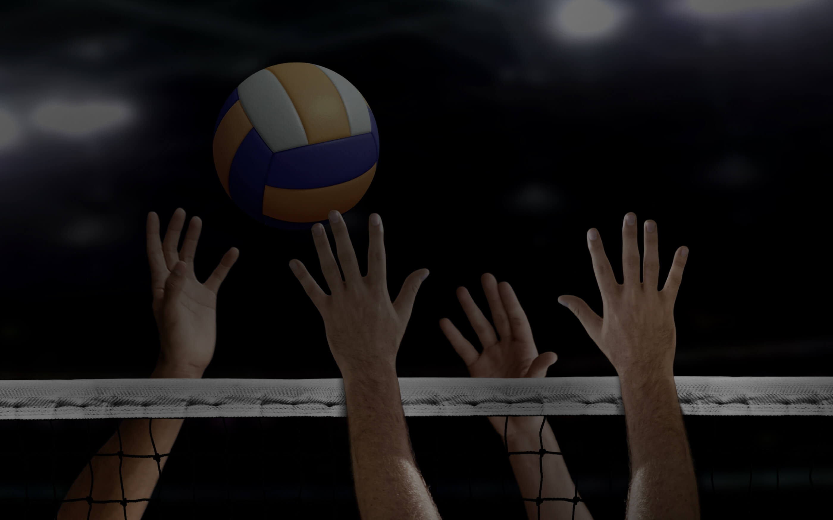 Volleyball